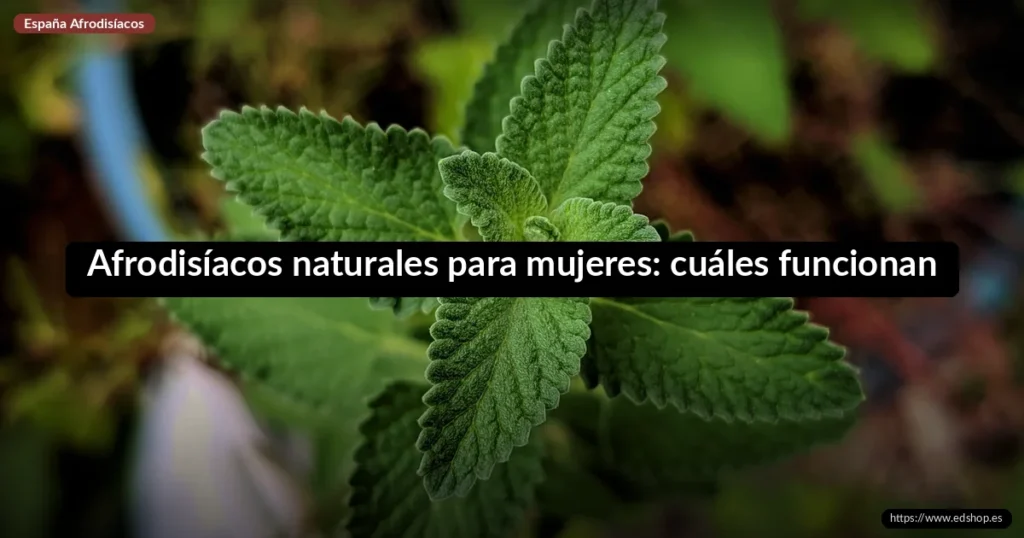 Afrodisíacos naturales para mujeres: cuáles funcionan 7 Afrodisíacos naturales para mujeres: cuáles funcionan